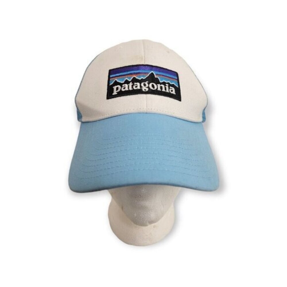 Patagonia Mesh Snapback Hat Blue White Cap